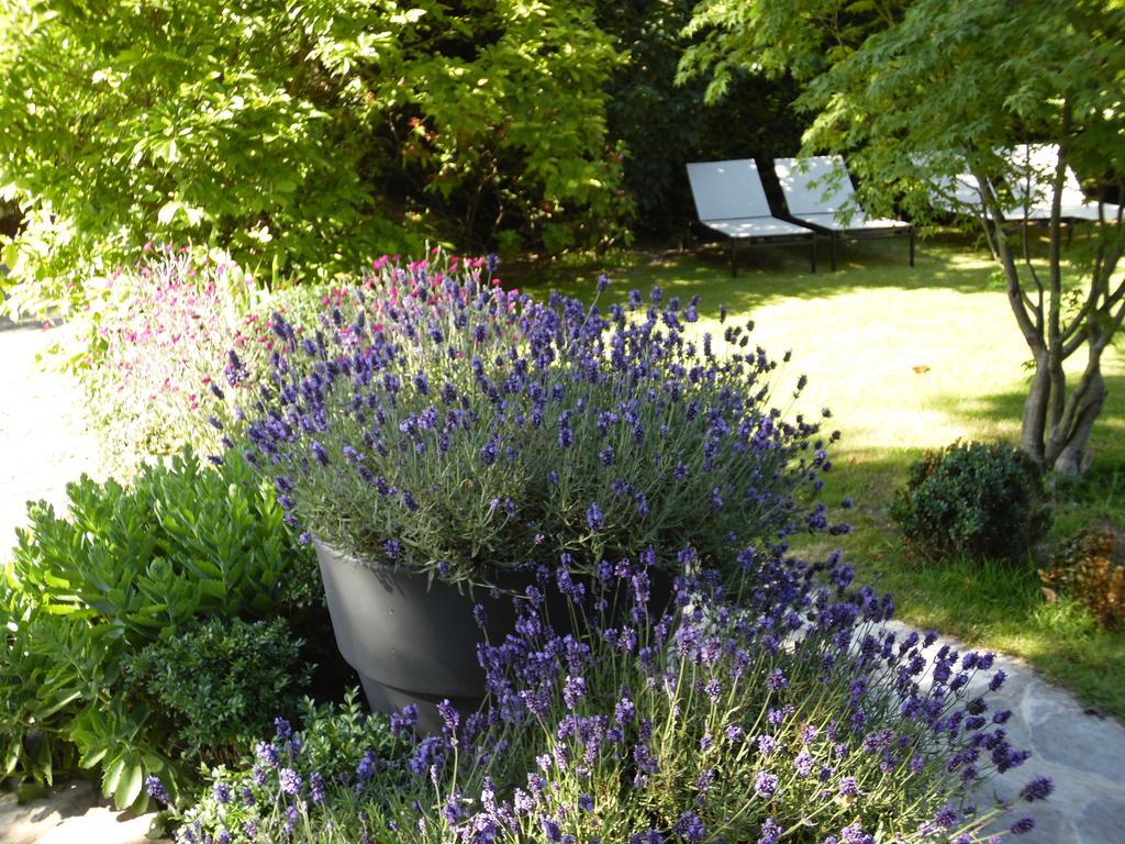 Bed & Breakfast La Clepsydre Fontenay-aux-Roses Exterior photo